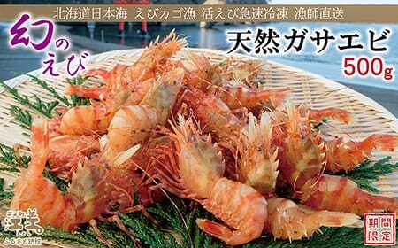 【期間限定＼漁があり次第、順次出荷中／】北海道産 「幻のえび」希少な天然ガサエビ 500g　引き締まった身肉と飽きのこない旨味 濃いエビの味が楽しめます！　国産　江差近海産　天然もの　エビかご漁師直送　最良品厳選　生食可　お刺身　天ぷら　エビフライ　海老 