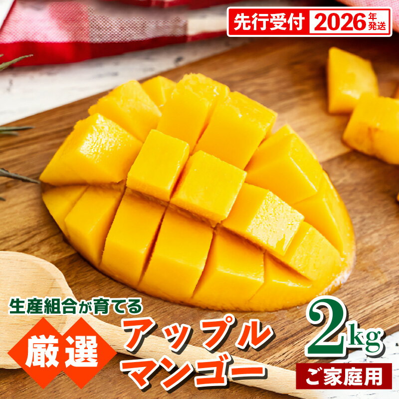 【ふるさと納税】【先行受付】【2026年発送】生産組合が育てるアップルマンゴー約2kg（家庭用）- 先行予約 沖縄県産 産地直送 南国フルーツ 旬の味覚 季節の果物 ご自宅用 沖縄マンゴー 沖縄県 八重瀬町