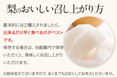 梨 玉東梨 約5kg 先行予約 上田農園 熊本県産 梨