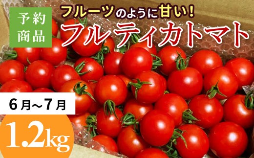 2026年6月～7月発送★トマト1.2㎏ 予約品※フルーツのように甘い フルティカトマト 1.2kg 令和8年度産 ※予約商品※割れ保障付 5000円