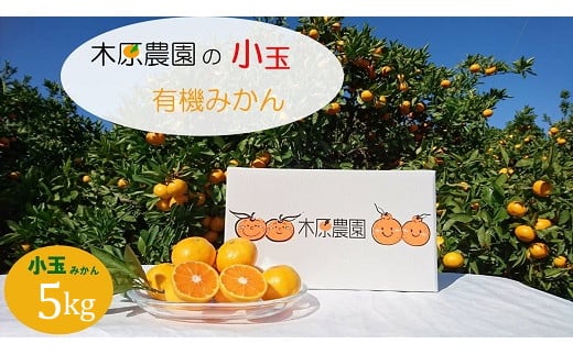 L-46 木原農園の小玉有機みかん　５kg