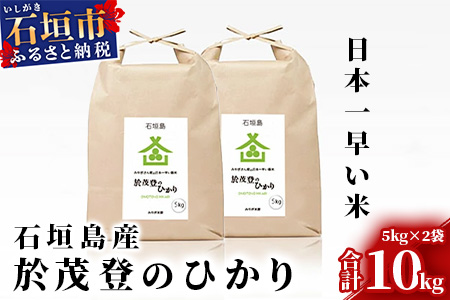 石垣島産 於茂登(おもと)のひかり 10kg みやぎ米屋【 日本一早い新米の産地  お米 産地直送 旬 しきゆたか 沖縄県 石垣市 送料無料 】MK-2