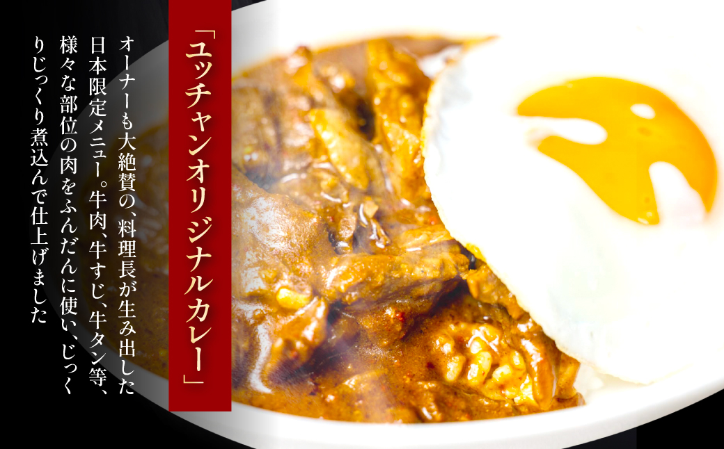 ユッチャンオリジナルカレー（1人前） FCEO003