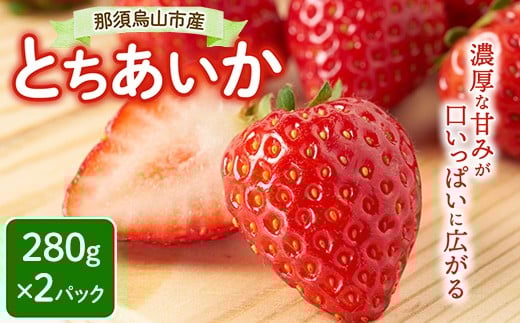 
            9-5 那須烏山市産 とちあいか 280g×2P ｜ いちご イチゴ 苺 先行予約 果物 くだもの フルーツ とちあいか 新鮮 贈答 ギフト 栃木県 ※北海道・沖縄・離島への配送不可 ※2026年1月下旬～5月下旬頃に順次発送予定
          