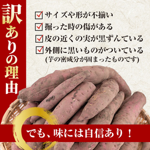 No.859 ＜訳あり・規格外＞紅はるかハーフカット冷凍焼きいも(計3.6kg以上・600g×6袋) 国産 九州産 サツマイモ さつま芋 訳アリ 規格外 紅春香 芋 焼き芋 やきいも 野菜 スイーツ 