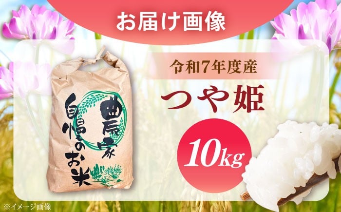 米 ふるさと納税限定 新米 つやひめ つや姫 こめ ツヤヒメ ブランド米 主食 贈答 ギフト おすすめ 人気 岐阜県 恵那市