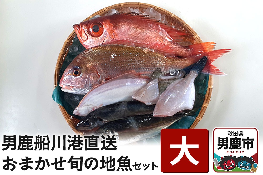 男鹿船川港直送おまかせ旬の地魚セット（大）秋田県 男鹿市 萬漁水産|23_mgs-010201