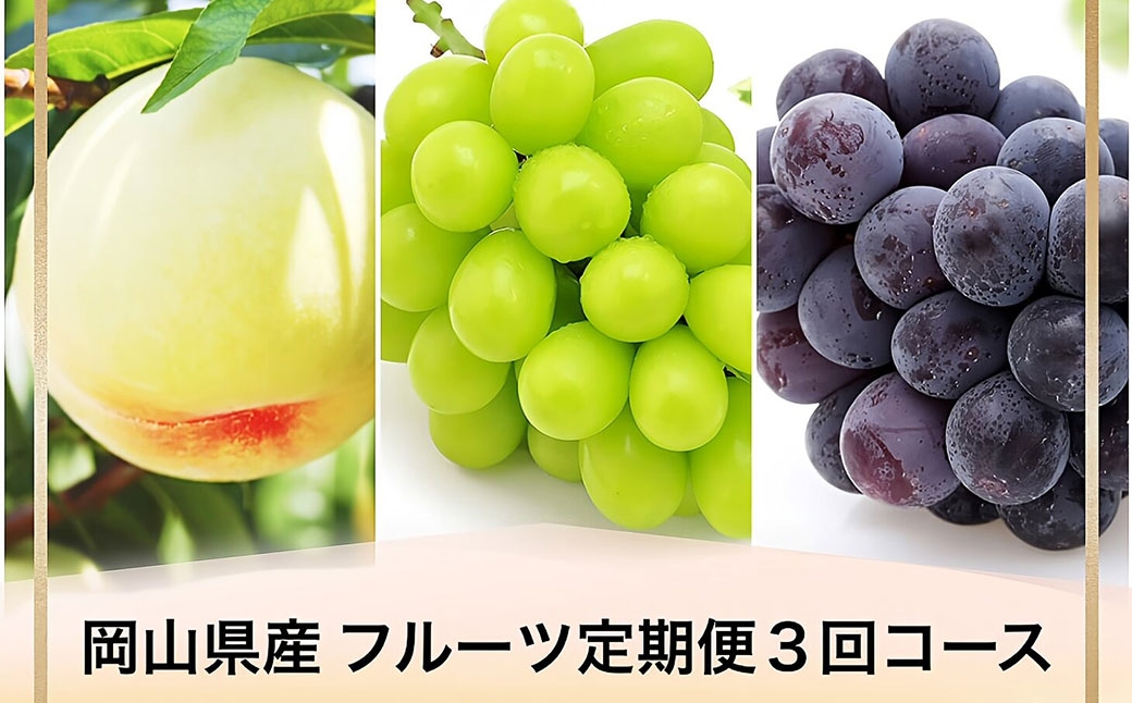 
                  【全3回定期便】 岡山県産 フルーツ定期便 ＜お一人様向け＞ 【2026年7月上旬～9月下旬迄発送予定】 白桃 ピオーネ シャインマスカット 瀬戸内 果物 くだもの フルーツ ぶどう もも ブドウ モモ 葡萄 桃 岡山白桃 ニューピオーネ 晴王 化粧箱 贈り物 贈答用 ギフト プレゼント 定期 定期便 果実 定期配送
                