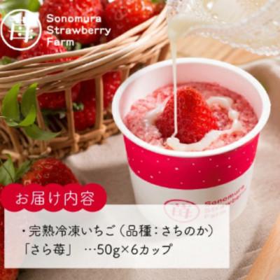 ふるさと納税 宇土市 熊本県宇土産 完熟冷凍いちご「さら苺」6カップ 練乳付き 園村苺園 |  | 01
