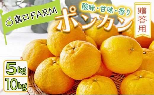 
                  ＜選べる容量＞【先行予約】ポンカン 贈答用 5kg/10kg
                