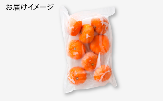 AB220.冷凍みかん・約２キロ【限定１００セット】