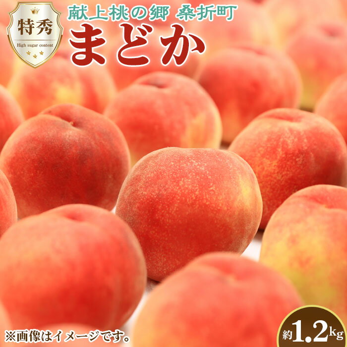 【ふるさと納税】もも【まどか・2026年産】特秀1.2kg　桑折町産　JAふくしま未来　桃／ もも モモ 果物 フルーツ 旬 甘い 甘み ジューシー 果肉 果汁 新鮮 フレッシュ デザート おいしい 産地直送 桑折 こおり こおりまち 福島県 特産品 No.225