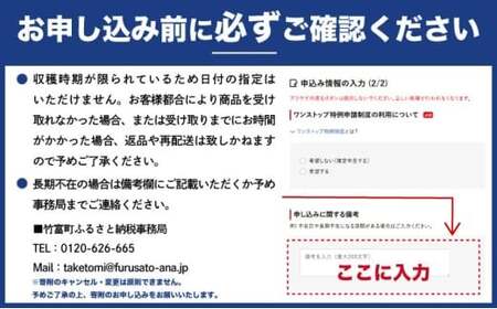 ☆新感覚の味わい☆桃のような芳醇な香りのする　『西表島産完熟ピーチパイン』約1.6kg（2～3個入）