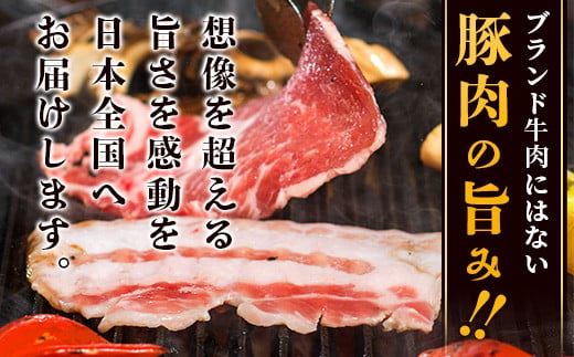 やえやまファームのアグー豚(F1種) 南ぬ豚 焼肉用ロース200g+バラ200g【 南ぬ豚 アグー豚 焼肉 食べ比べ 豚肉 石垣 石垣島 沖縄 八重山 やえやまファーム 】E-35