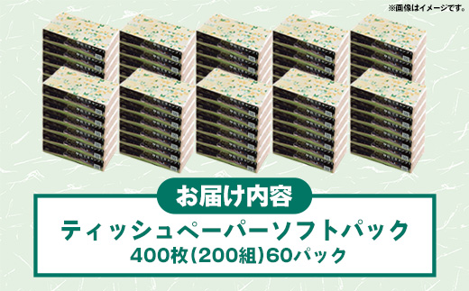 ティッシュペーパーソフトパック　４００枚（２００組）６０パック - ソフトパック ティッシュ ペーパー 生活用品 雑貨 日用品 必需品 紙 常備品 まとめ買い 備蓄 防災 ストック 熊本県 甲佐町【ZC】【価格改定XA】