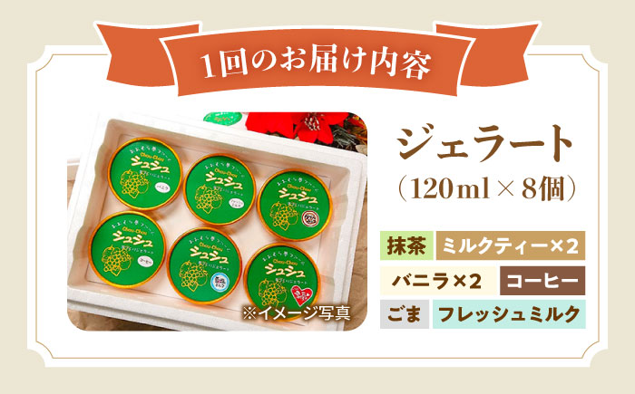 【12回定期便】シュシュ 定番ジェラート8個セット / アイス アイスクリーム ジェラート スイーツ /  大村市 / おおむら夢ファームシュシュ [ACAA412]