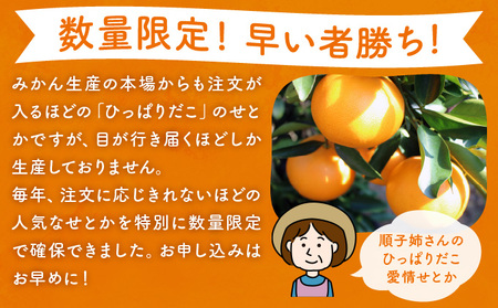 KU303 ≪数量限定≫ 順子姉さんのひっぱりだこ愛情せとか 2.5kg