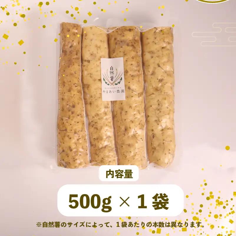【2026年度先行予約】500g 自然薯 真空パック 静岡県 牧之原市 やまあい農園