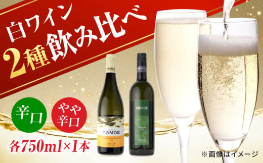 【お歳暮対象】TOMOE 白ワイン 2本セット B シャルドネ リザーブ 辛口 デラウェア ワイン 受賞 飲み比べ ワインセット ギフト 三次市/広島三次ワイナリー[APAZ017-999]