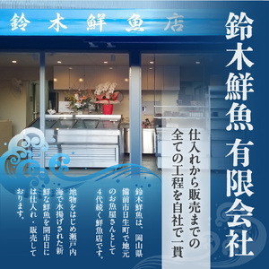 【訳あり】穴子 国産 焼穴子 炭火焼 6～12本入（400g前後）  タレ付き