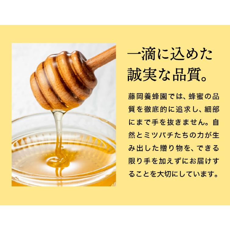 【2025年採蜜予約受付 2025年8月から順次発送】 完熟はちみつ　300g（藤岡養蜂園） 　008FY01N. ／ 完熟 熟成 天然 ハチミツ 養蜂 蜂蜜 ミツバチ チューブ
