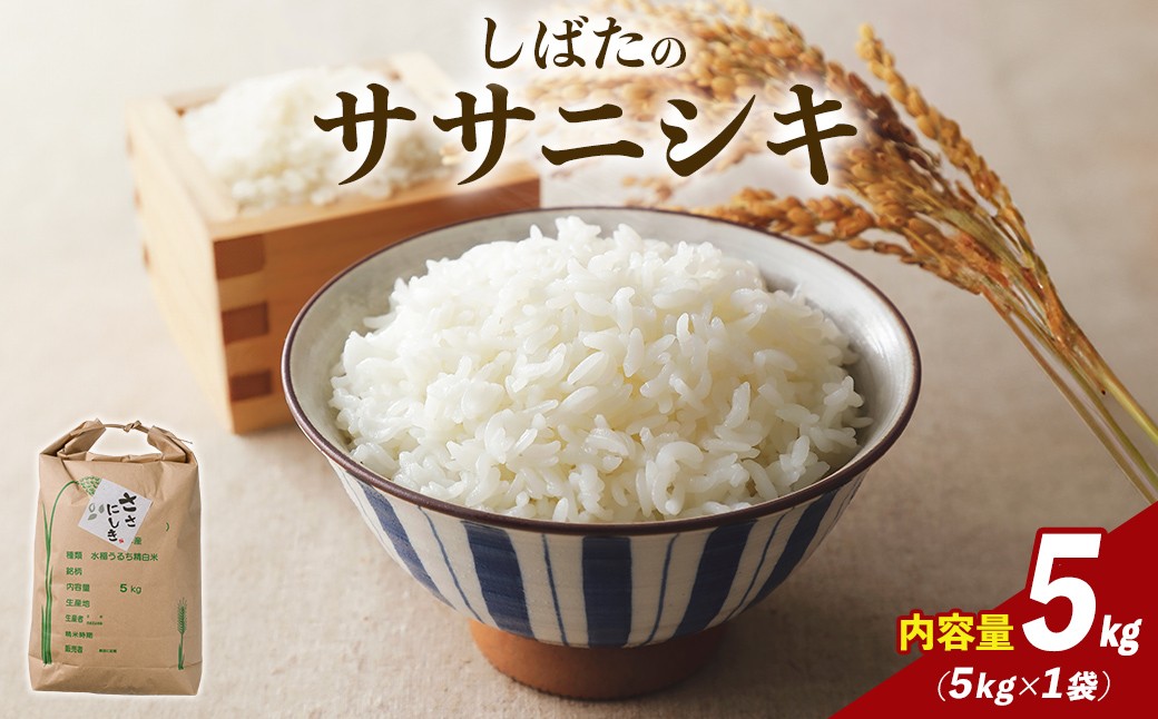 
            【令和7年産】しばたのササニシキ 精米 5kg 柴田町産 お米 おこめ 米 コメ 白米 ご飯 ごはん おにぎり お弁当 ささにしき【しばたの未来株式会社】sh138
          