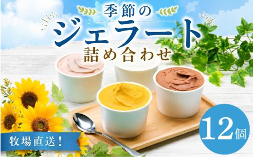 ジェラート じぇらーと アイス 12個入 なかの牧場 なちゅらる じぇらーと セット ひんやりスイーツ すいーつ ミルク チョコ ブルーベリー チーズ お茶 緑茶 紅茶 ほうじ茶 ラム レーズン ピスタチオ 塩 キャラメル アイス ジェラート セット 季節 お茶 冨士美園 てづくり なちゅらるじぇらーと なかの牧場 12個 F02