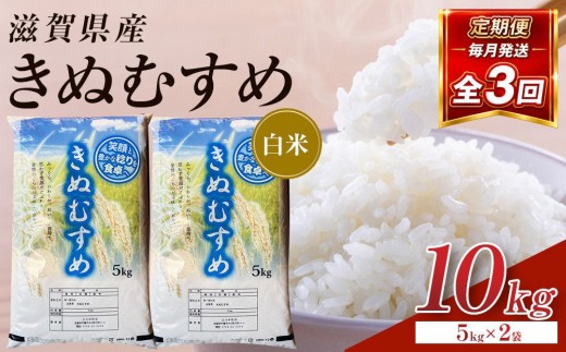 【令和8年産 新米 先行予約】近江米きぬむすめ白米10kg（5kg×2袋）×3回定期便※2026年9月～発送