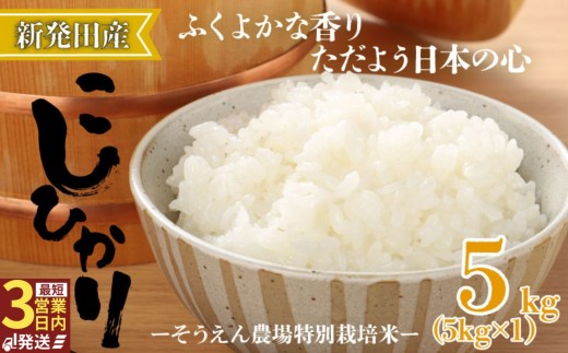 令和7年産 新潟県産 コシヒカリ 5kg そうえん米 特別栽培米 お米 米 kome 白米 ご飯 こめ ごはん ライス ふるさと納税米 コシヒカリ お弁当 玄米 そうえん米 数量限定 とんとん市場 せいだ 新潟 新発田 とんとん市場のお米 D81_03