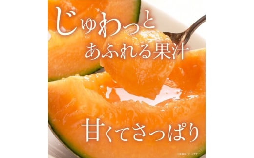 糖度抜群！奇跡のクインシーメロン（赤肉）3 5玉入り