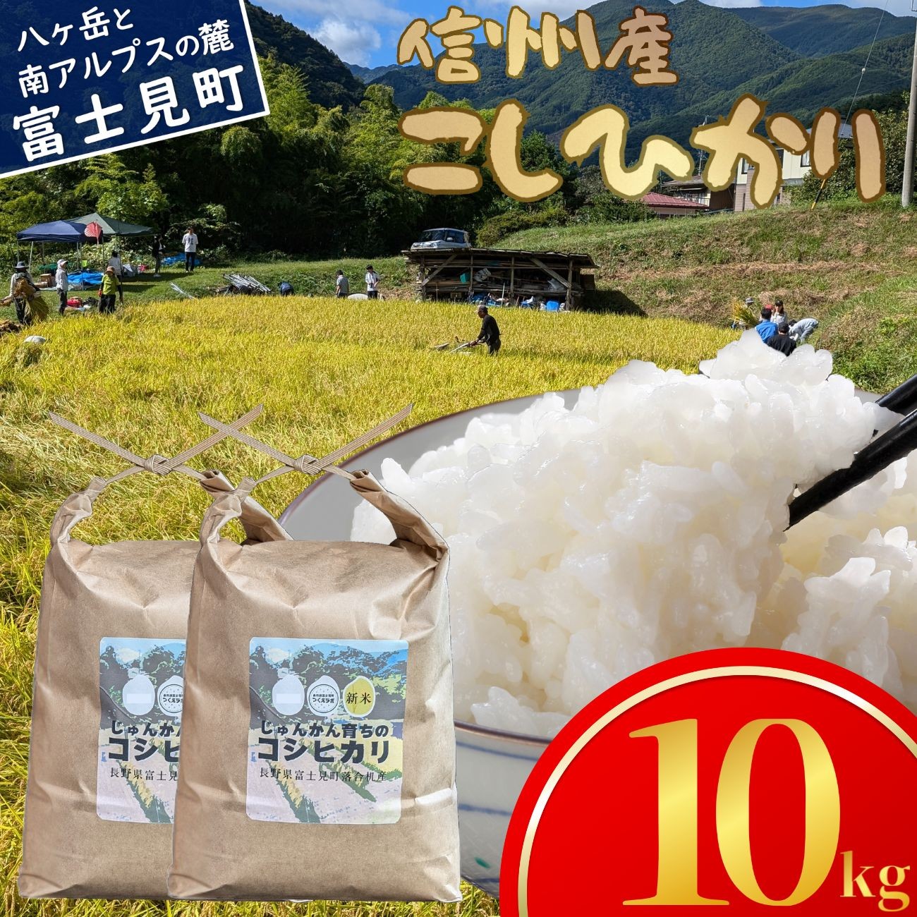 
            先行予約 令和7年産 コシヒカリ 10kg(5kg×2袋) 長野県富士見町落合机産 じゅんかん育ちのコシヒカリ つくえラボ [10月中旬発送開始]
          
