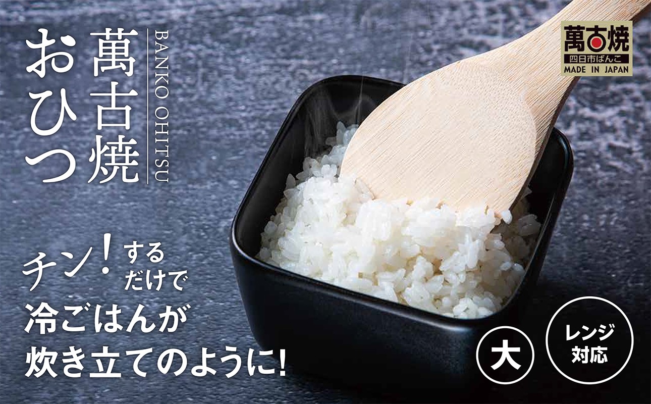 
                  【萬古焼（ばんこやき）】角型おひつ器 （大）ばんこの里会館【おひつ ごはん ご飯 陶器 冷蔵庫 レンジ 保温  2合 三重県 四日市市 四日市 四日市市ふるさと納税】
                