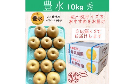 豊水 10kg 18～24玉 | 栃木県産 宇都宮市 梨 なし 豊水 フルーツ 果物 旬 産地直送 ※2026年8月～発送