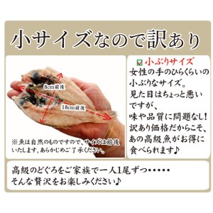 のどぐろ 開き 干し 3枚 詰め 小サイズ 下関 山口  AU408