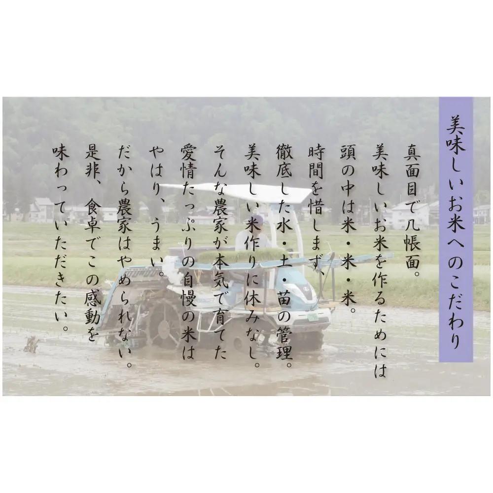 【令和8年 先行予約】【定期便12ヵ月】南魚沼産新之助10kg一等米（5kg×2袋）（10kg×12回）【塩沢地区】【2026年10月中旬より1ヶ月以内に順次発送予定】｜新之助