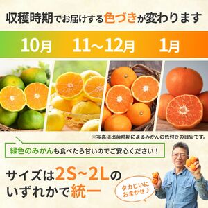 タカじいの 有田 みかん 10kg （良品 サイズおまかせ2S～2L） / 温州みかん 有田みかん 甘い 家庭用 和歌山 柑橘 ※1月順次発送【krs004-c-10-1B】