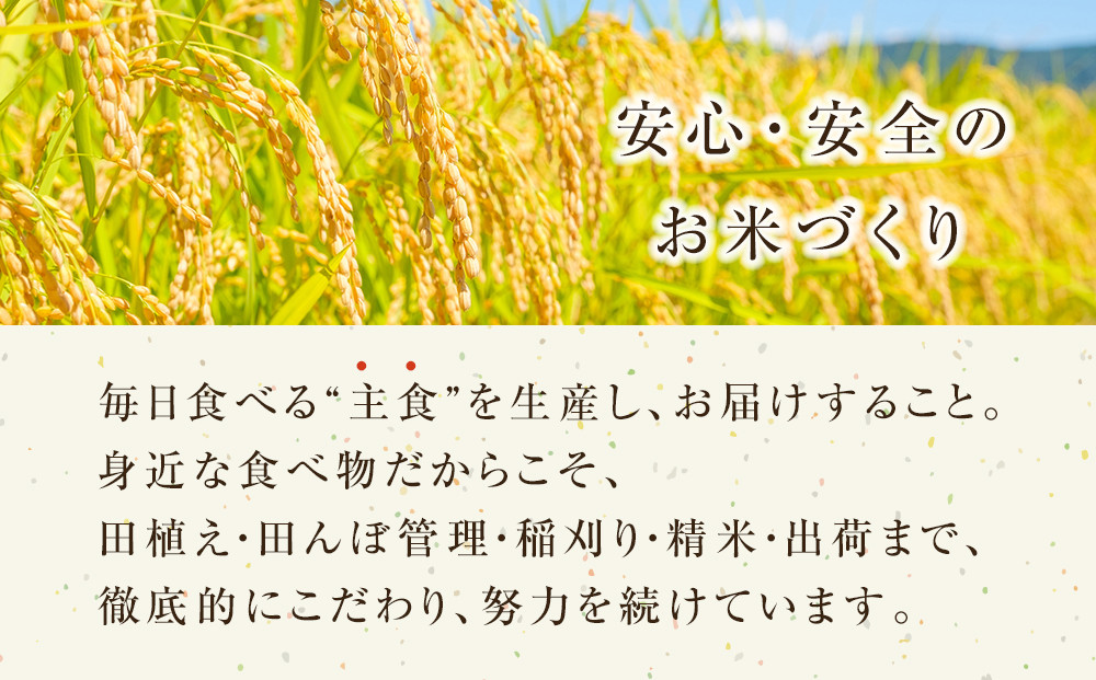 日置さん家の お米 ミルキークイーン 3kg × 3袋【精米・2025年産】