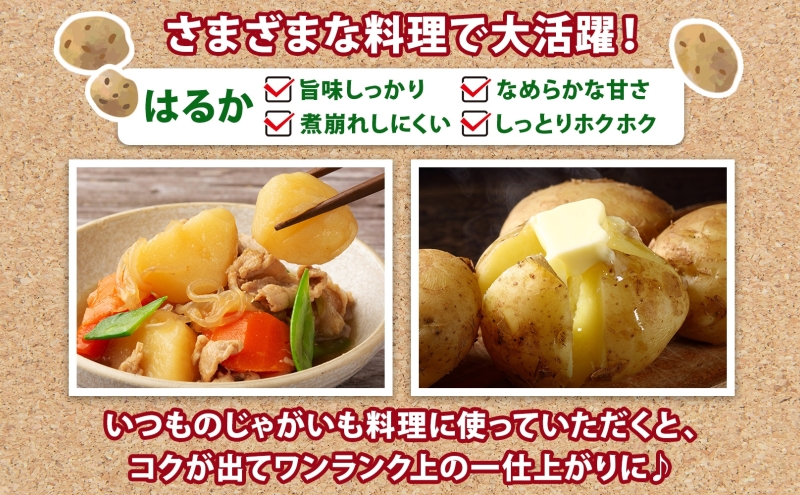 北海道産 じゃがいも はるか 10kg M～2L混合 訳あり 2024年12月中旬～2025年3月末お届け 野菜 ジャガイモ 馬鈴薯 芋 いも 旬 北海道 洞爺湖町 肉じゃが カレー コロッケ 野菜 