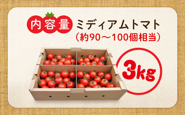 「食の安全」を守りたい！自然を活用した低農薬栽培！ ミディアムトマト 3kg 江田島市/有限会社グリーンファーム沖美 [XAB001]