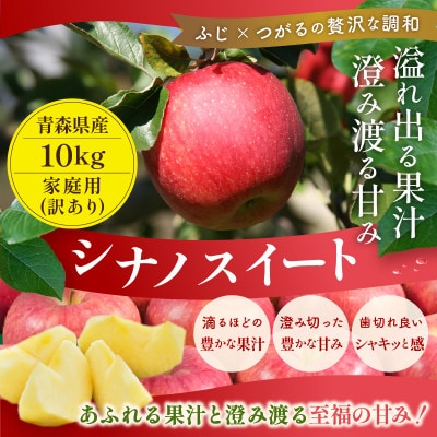 【26年10月より順次発送】平均糖度13度以上! シナノスイート 約10kg 訳あり 青森りんご【配送不可地域：離島・沖縄県】