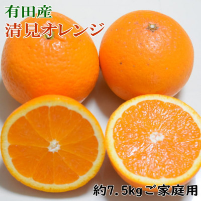 【濃厚】有田産清見オレンジ7.5kg(M～3Lサイズ)ご家庭用(上富田町)