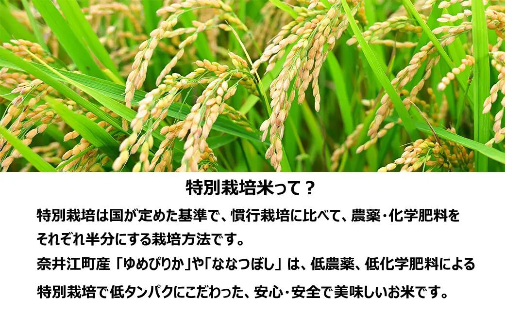 【定期便12回】北海道奈井江町　特別栽培米　ゆめぴりか　15kg【無洗米】