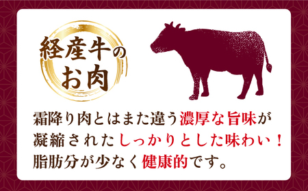 【6回定期便】【赤身本来のコクと旨味！】 九州産黒毛和牛 サーロインステーキ 500g（2～3枚） ＜宮本畜産＞[CFA032]