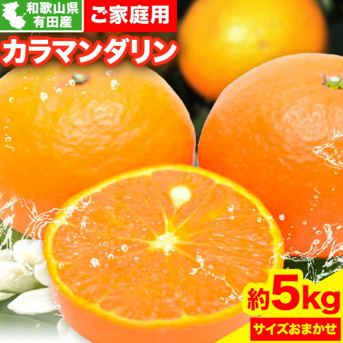 【ふるさと納税】【ご家庭用】【濃厚春みかん】和歌山県 有田産 カラマンダリン 約5kg ( サイズおまかせ ) 厳選館《2026年4月上旬-5月末頃出荷》和歌山県 日高川町 柑橘 果物 送料無料