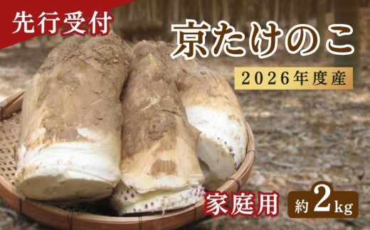【先行予約】2026年度産 京たけのこ 約2kg 2～6本 ( 家庭用向き )  筍 掘りたて たけのこ 竹の子 京都 国産 新鮮 野菜 ごはん ご飯 家庭用 京野菜 旬 産地直送 お取り寄せ 煮物 