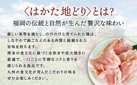 W08-39 博多地どりむね肉（精肉）・つぶ明太セット 詰め合わせ 精肉 肉 生 ムネ ムネ肉 鶏肉 地鶏 はかた地どり 冷凍 明太子 かねふく バラ子 チューブ 簡単 めんたい アレンジ 料理 福岡