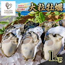 【ふるさと納税】【2025年1月より順次発送】浜名湖産かき大粒むき身1kg（加熱用）先行予約 牡蠣 海鮮 魚介 国産 浜名湖産 貝付き 生牡蠣 焼き牡蠣 蒸し牡蠣 冷蔵 産地直送　お届け：2025年1月中旬～2025年3月中旬まで