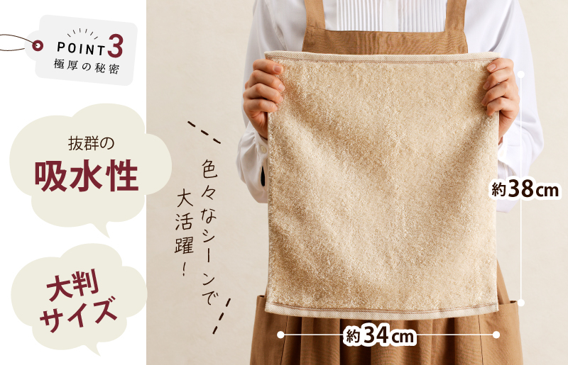 極厚ハンドタオル 10枚 生成色【泉州タオル 国産 吸水 普段使い シンプル 日用品 家族 ファミリー】 099H2377