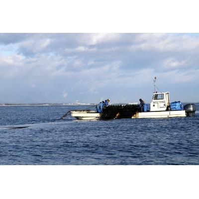 ふるさと納税 亘理町 宮城県荒浜産 あらはま海苔 焼海苔詰合せ　5種 |  | 02