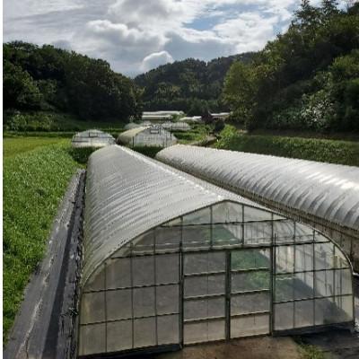 ふるさと納税 浜田市 弥栄町産野菜のおまかせセット |  | 01